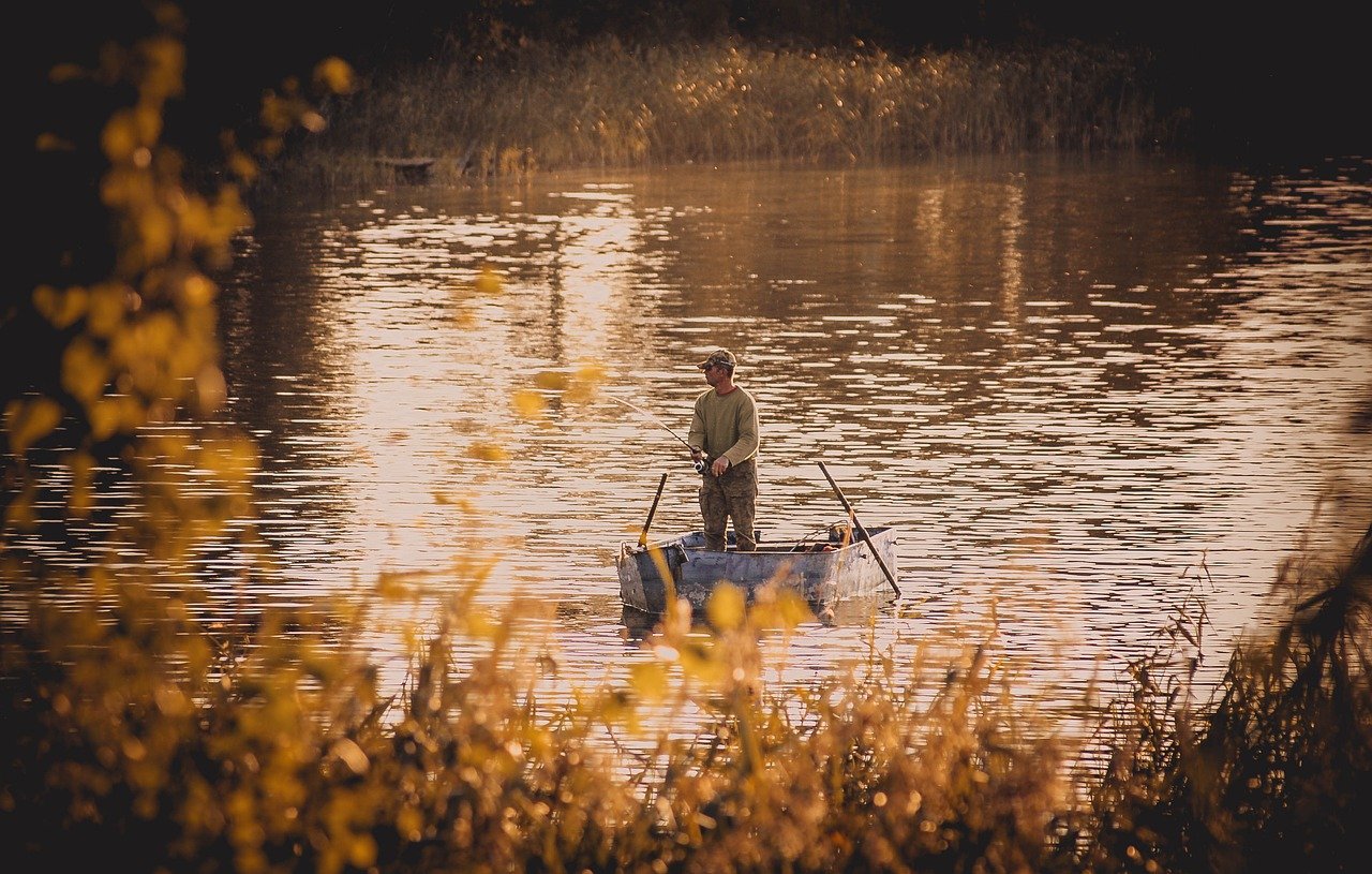 fishing rod, fishing, boat, reel, entertainment, recreation, hobby, the fisherman, fish, lake, man, angler, relaxation, nature, joint, autumn, scenery, october, mood, season, forests, peace of mind, passion, fishing rod, fishing rod, fishing rod, fishing rod, fishing rod, fishing